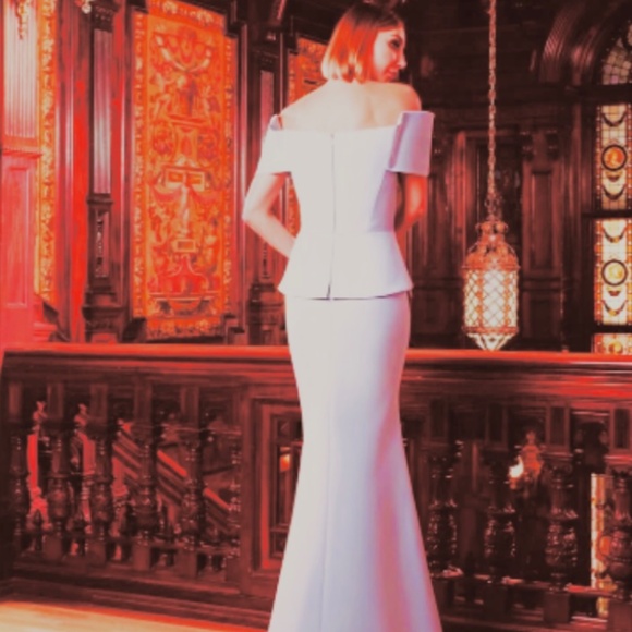 NWT - Alexander by Daymor 1550 Long Plated Formal Peplum Evening Dress - Blush - Picture 4 of 10